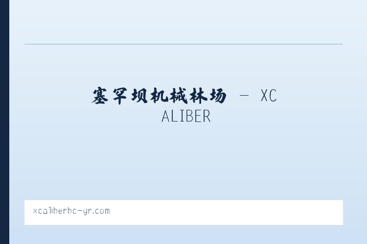 夏日社区服务站 - XCALIBER 列表图